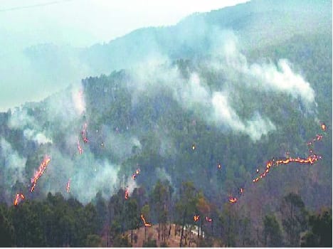 Several forest fires burned again in Bageshwar